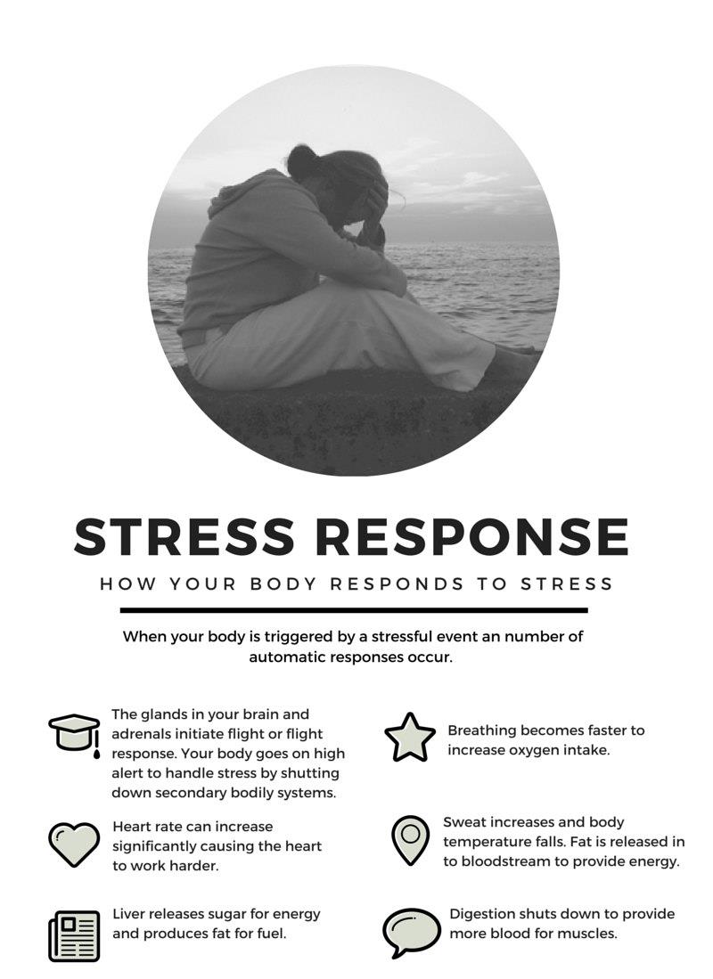 Stress Anatomy infographic 1